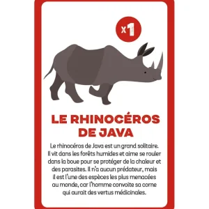 Enfant LeT Les enfants Terribles Cherche et trouve - Animaux menacés