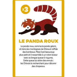 Enfant LeT Les enfants Terribles Cherche et trouve - Animaux menacés