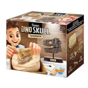 LET83700 Dino Museum - Buki