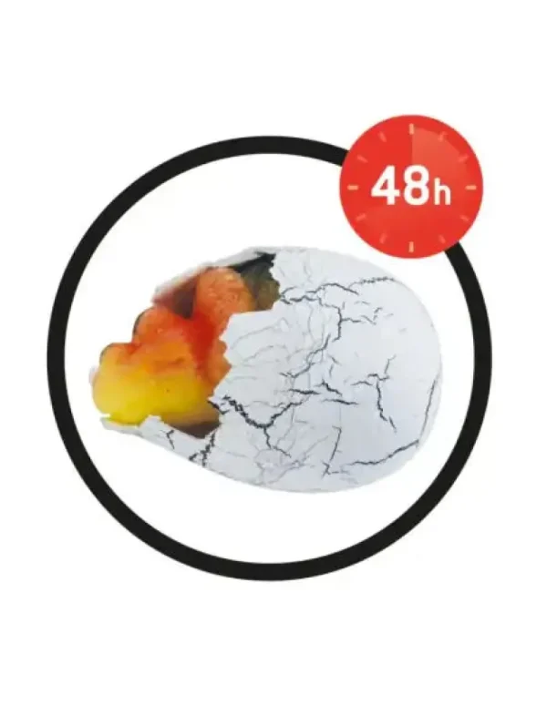 LeT Les enfants Terribles Dinos oeuf magique