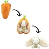 LET83700 Flipetz veggies - Lapin & carotte