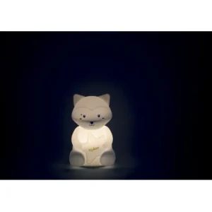 LeT Les enfants Terribles Home Ma Veilleuse Souple Led Raton Laveur