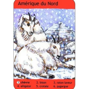 Enfant LeT Les enfants Terribles Jeu de cartes 7 familles animaux