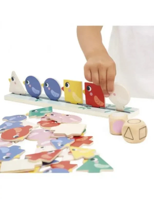LET83700 Tri des Formes, Couleurs et tailles oiseaux